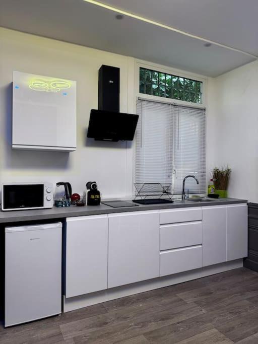 Le Vitton - Appartement Proche Gare Partdieu Villeurbanne Dış mekan fotoğraf